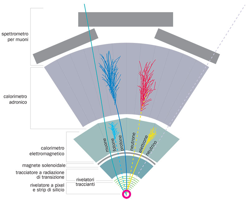 Sezioni dei rivelatori di particelle