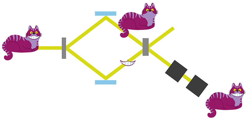 Schematizzazione del gatto del cheshire quantistico
