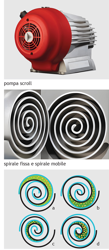 Pompa scroll