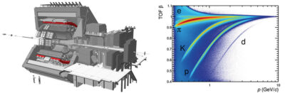 Il rivelatore TOF (in rosso) dell’esperimento ALICE. A destra, il grafico rappresenta la velocità β=v/c, misurata tramite la tecnica del tempo di volo, in funzione del momento p per diverse specie di particelle.