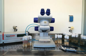 Il laboratorio di biologia nei Laboratori del Gran Sasso.